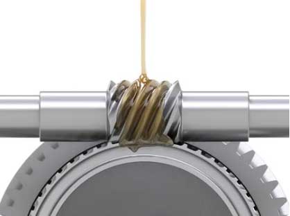 Worm Gear Transmission